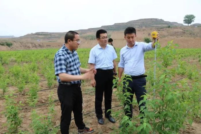&#19975;&#35937;&#22478;&#22312;&#32447;&#30331;&#24405;&#45;&#19975;&#35937;&#22478;&#65288;&#20013;&#22269;&#65289;