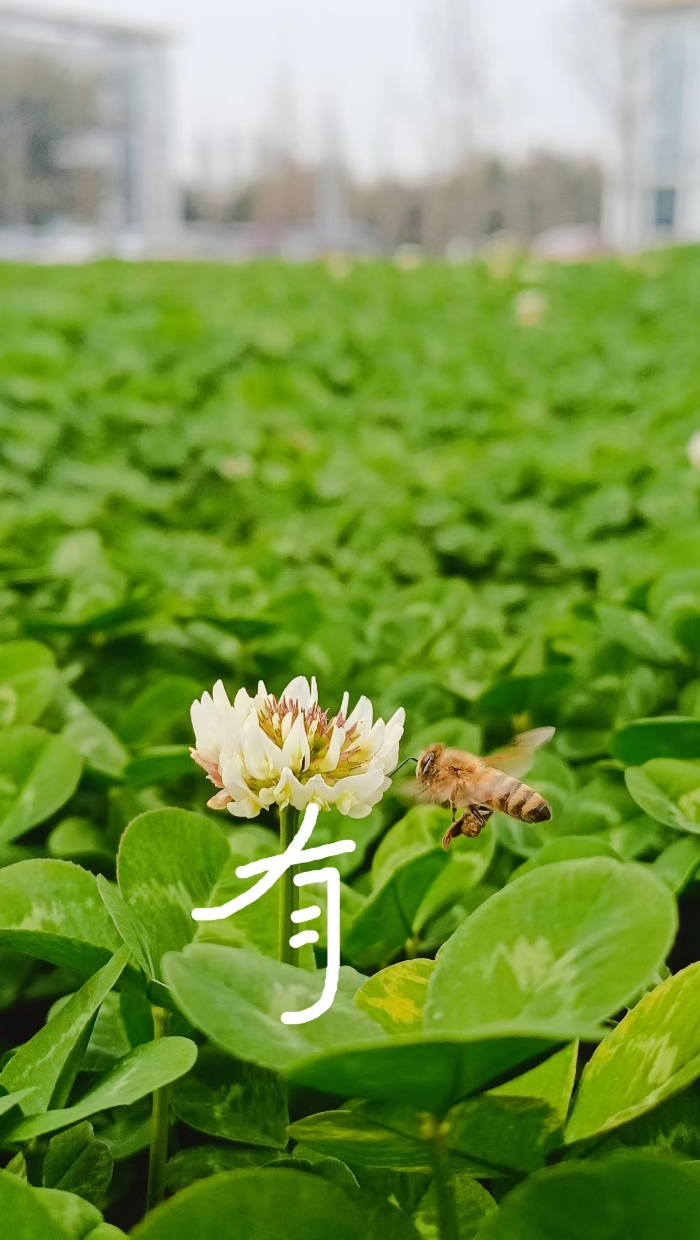 &#19975;&#35937;&#22478;&#22312;&#32447;&#30331;&#24405;&#45;&#19975;&#35937;&#22478;&#65288;&#20013;&#22269;&#65289;